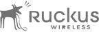 Ruckus Wireless